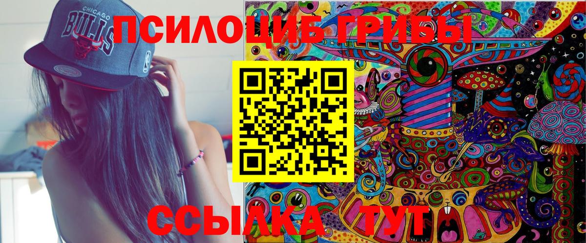 Псилоцибиновые грибы GOLDEN TEACHER Клин